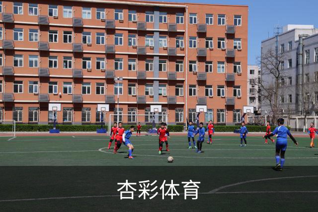 杏彩体育公司介绍
